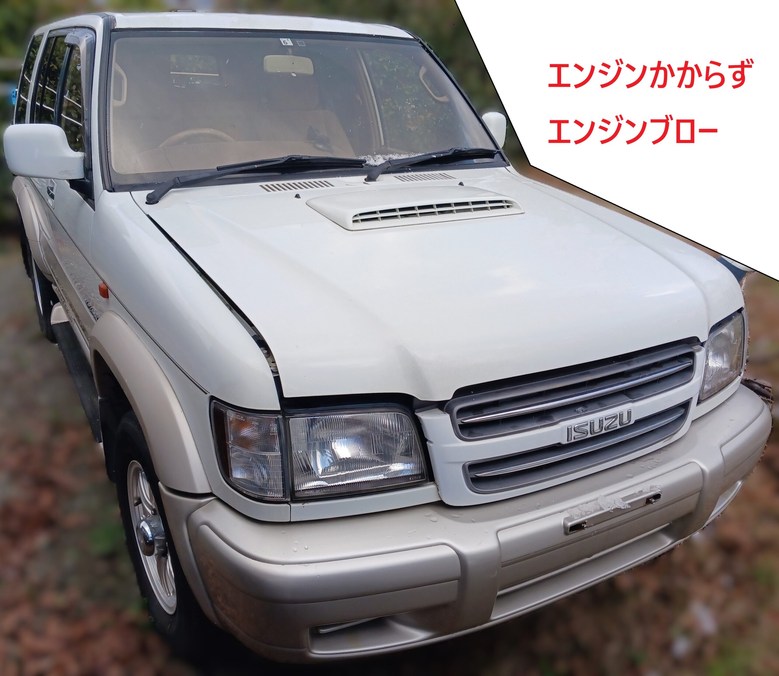 いすず ビックホーン